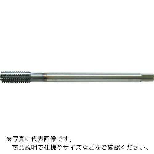 ���������� �������åץ�����쥹���ե�å� M3��0.5��100 1.5C5 18058 ( ZC-SL-TF M3X0.5X100 1.5C5 )