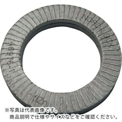 ノルトロック ノルトロックワッシャー デルタプロテクト (100枚入) ( NL18 )