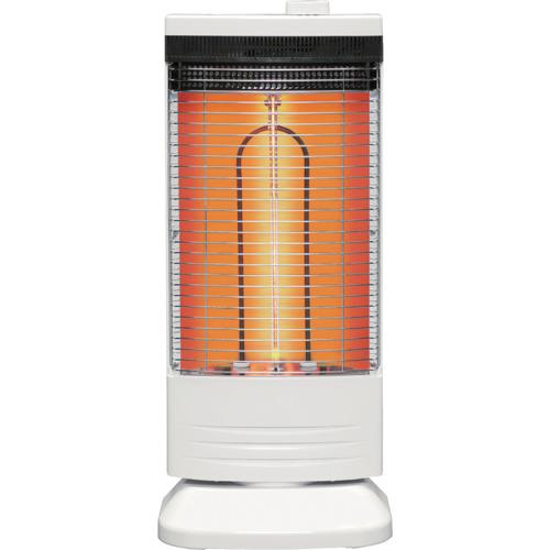 TOYOTOMI ( �ȥ�ȥ� ) ®�ȱ��ֳ����ŵ��ҡ����� �� ( EWH-CS100P-W )