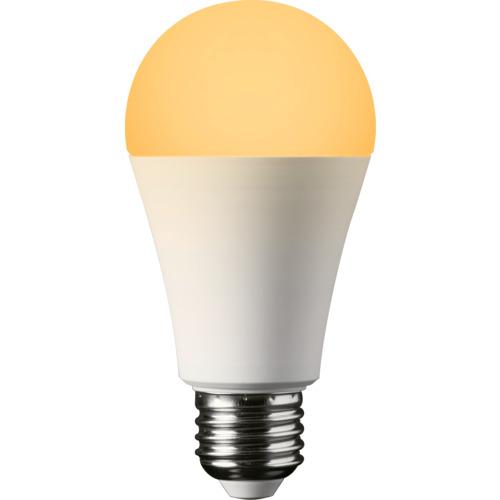 ����Ϥ������ �ɺ��ŵ�2025��ǥ� KS01N��OR �ŵ忧 ( KS01N-OR )