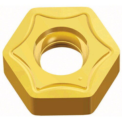 TAEGUTEC ( NTKカッティングツールズ ) ミーリング加工用チップ ヘキサ2ミル ( HNMX 050410-MM TT2510 ) 【10個セット】 tkonline-12921814 トキワONLINE パッケージ画像