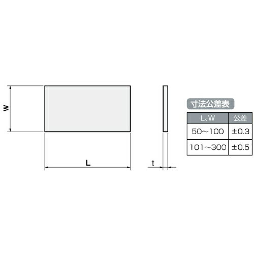 IWATA ( 岩田製作所 ) シムプレートSK ( TY100-100-025 ) 【メーカー取寄】 2