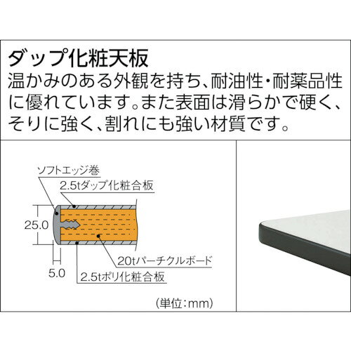 TRUSCO ( トラスコ中山 ) 中荷重立作業台(500kg)HAEW型 1200X750XH885 基本タイプ ...
