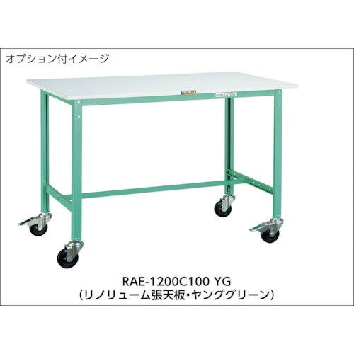TRUSCO ( トラスコ中山 ) 軽荷重作業台(300kg)AE型 1800X750XH740 基本タイプ ヤン...