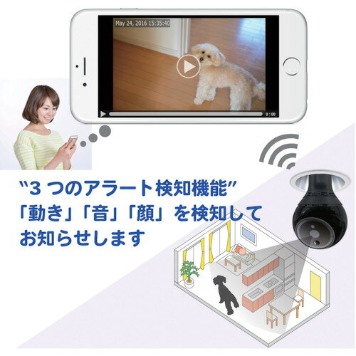 PlugInCam ( ダブリュー・ビィ ) 360度自動追尾カメラ ROBOT 210×100 PIC-360 tkonline-10212122 トキワONLINE サンプル画像2