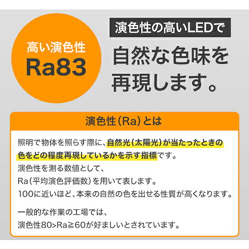 IRIS ( アイリスオーヤマ ) 568662 PROLEDS LED電球投光器用2000lm ( LDR18D-H )