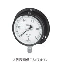 長野計器 普通形圧力計(立形(B枠)、φ60、0~4MPa) ( AA10-273X4MPA )(4)