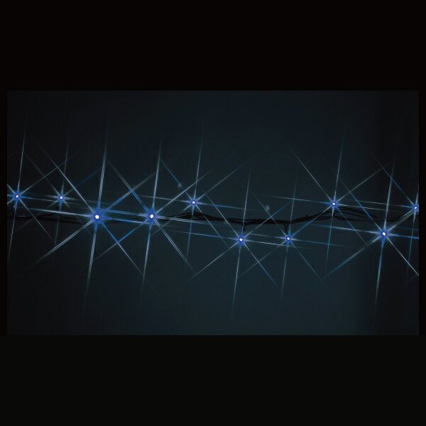 ե LEDȥNHʥ˥塼ϥ졼ɥס  ( SJ-NH05-25BB ) ե