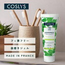 低刺激 歯磨き粉 75ml ミネラル塩 フッ素フリー 無添加 ミント ハミガキ 歯茎に優しい低刺激処方 母の日 ギフト プレゼント 研磨剤フリ..