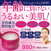 1つで6役アプサラオールインワンゲル290g