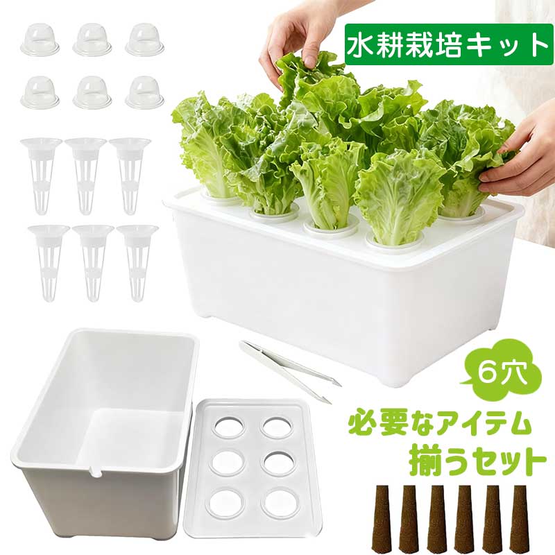 水耕栽培キット6穴無土壌栽培ボック...