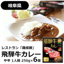 ■関連商品一覧 飛騨牛カレー 250g 4個入り 飛騨牛カレー 250g 6個入り 飛騨牛カレー 2人前450gカップ 3個入り 飛騨牛カレー 250g×2個・明宝ハムカレー 200g×2個セット 飛騨牛カレー 250g×3個・明宝ハムカレー 200g×3個セット 原材料名：玉ねぎ、牛肉（飛騨牛）、カレールウ、ビーフブイヨン、リンゴ、ウスターソース、小麦粉、ビーフエキス、マーガリン、ラード、生姜、チャツネ、にんにく、醤油、食塩、カレー粉、味噌（大豆：遺伝子組換えでない）、香辛料、砂糖、着色料（カラメル、カロチン）、調味料（アミノ酸等）、安定剤（加工でん粉）、乳化剤、酸味料、増粘多糖類、甘味料（甘草）、香料（原材料の一部に乳、豚肉、鶏肉、バナナを含む） アレルギー対象原材料：乳,小麦,大豆 上記以外の特定原材料：飛騨牛の個体識別番号は包装箱に印刷 産地(最終加工地)：岐阜県 内容量：250g（1箱）奥美濃 郡上の老舗レストラン「覇楼館」がお届けする最高級ご当地グルメ「飛騨牛カレー」。厳選された素材とやわらかくて甘みのある岐阜県産の「飛騨牛」を使用し、隠し味に地元郡上市特産の地味噌「郡上味噌」がはいった風味豊かなカレーです。 地元で結成されB1グルメ大会にも出場している「奥美濃カレー協同組合」の認定商品になっております。 発売から約20年以上愛されるこちらの飛騨牛カレーは、1人前250gとボリューム満点、レトルトとは思えない味と風味が発売以来人気で、リピーターの方も多くいらっしゃいます。　 ワンランク上の極上・飛騨牛カレー是非ご賞味下さい。