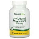 NaturesPlus　Dyno-Mins（ダイノミンズ）、マグネシウム、250mg、耐酸性タブレット90粒