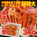 ずわいがに 3kg 驚愕の大きさ6Lサイズ 想像以上にどでか...