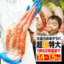 タラバガニ 【増量しました】超超特大 タラバガニ 1肩で1.4kg-1.5kg (総重量1.8kg超) 8Lに相当 極太 約4-5人前 かに カニ 蟹 たらばがに シュリンク お歳暮