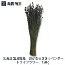 北海道 富良野産【おかむらさき】150g ラベンダードライフラワー花束 ハンドメイド クラフト 花材 素材 ハーバリウムの商品画像