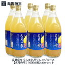 【新物!!】長野県産 ぐんま名月りんごジュース【名月の雫】1000ml瓶×6本セットぐんま名月 りん