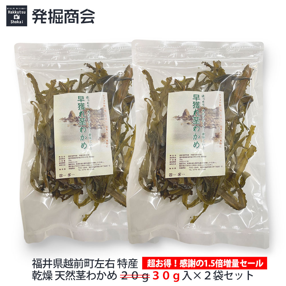 新物！【感謝の増量!】乾燥 天然茎わかめ「20g」→『30g』入2袋セット(チャック袋入)福井県越前町左右 特産【1000円ポッキリ】【数量限定】