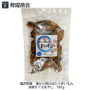 海から飛び出たうまいもん【浜焼きいか 丸干し】 100g(業務用) 福井近海産【メール便のみ送料無料】ギフト お中元 父の日 母の日