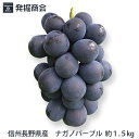 信州 長野県産【ナガノパープル】約1.5kg（2～3房）種なしぶどう【送料無料】