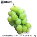 信州 長野県産 【シャインマスカット】約1kg(2房)種なしぶどう【送料無料】手土産 贈り物 プレゼント お供