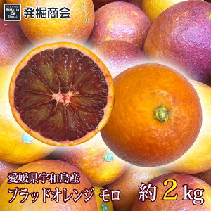 ブラッドオレンジ【モロ】 約2kg愛媛県 宇和島産みかん 数量限定