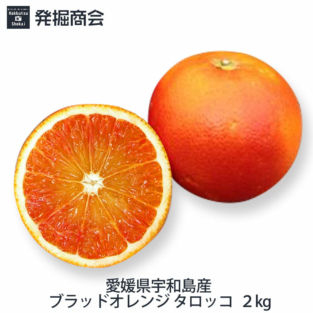 ブラッドオレンジ【タロッコ】約2kg愛媛県 宇和島産みかん 数量限定