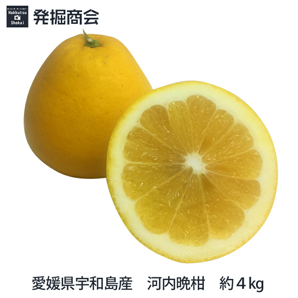愛媛県宇和島産【河内晩柑】約4kgかわちばんかん 宇和ゴールド送料無料