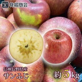 長野県産 サンふじ 約5kg2023年度収穫 りんご