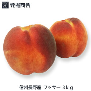 【予約受付中】信州 長野県産 ワッサー 桃 約3kg （家庭用）(11個前後・大きさにより異なります)とても美味しいワッサーl