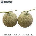 福井県産 アールスメロン 2玉入 糖度14度以上 最高品質 贈答 贈り物