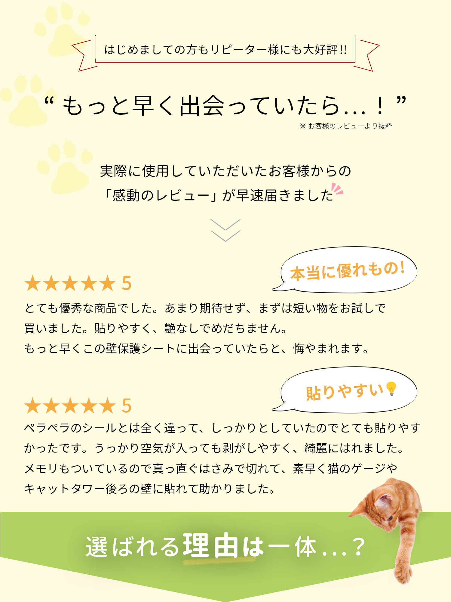 最先端 もうひっかき傷に悩まない 楽々貼付け 中粘着 簡単 目盛り マス目 カットシート 剥がせる 透明 マット素材 ねこ ネコ 壁 爪とぎ つめとぎ ひっかき キズ防止 検査済 レビュー記入プレゼント 高評価 4 90 貼り方動画あり キャットブリーダー監修 猫 壁紙保護シート