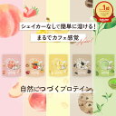 とけるちゃんプロテイン