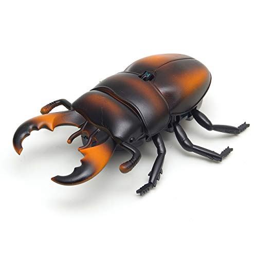 ロボット GoodsLand 【 6type 】 リアル 甲虫 ラジコン こども向け 子供 簡単 操作 室内 昆虫 虫 RC 赤外線 通信 プレゼント かっこいい GD-KUWARAJI-KUWA-A
