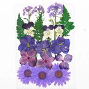 DIY用 押し花 ドライフラワー ブリザードフラワー パープルミックス