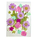 DIY用 押し花 ドライフラワー ブリザードフラワー 薄紫&紫陽花ミックス