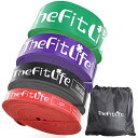TheFitLife トレーニングチューブ 懸垂チューブ 懸垂補助 トレーニングバンド 筋トレチューブ - 天然ラテックス製 懸垂アシスト フィットネスチューブ ヨガ リハビリ ストレッチ 収納ポーチ・日本語説明書付 4色セット(4)