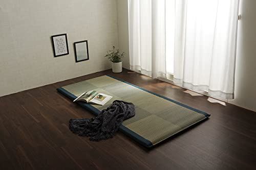 イケヒコ い草 シーツ 敷パッド ノアらくらく シングル ブルー 約90×200cm 日本製 中材:固綿40mm #7557..