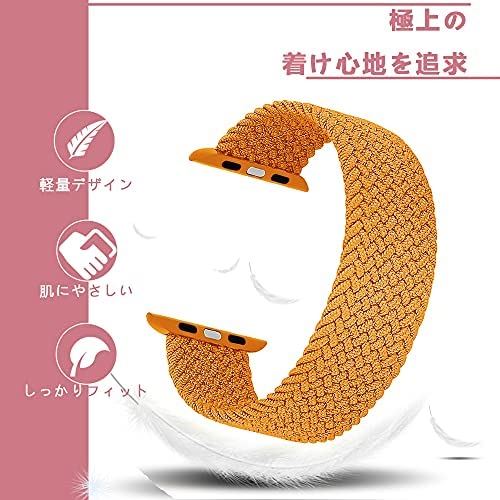 【5個セット】 PGA PG-AWTP46CL Apple Watch Series 10 46mm用 ガラスハイブリッドケース 強化ガラス／クリア