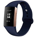 Haotop oh Rp`u K Fitbit Charge 4/Charge 3/Charge3 SECVJQoh X|[cVRXgbvXg oh (Large, )