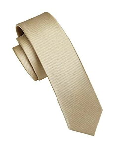 (ヒスデン)HISDERN ナロータイ 細 ネクタイ ビジネス カジュアル 無地 5.5cm 洗える シルク 社会活動 複数色 ベージュ