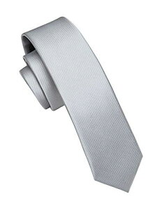 (ヒスデン)HISDERN ナロータイ 細 ネクタイ ビジネス カジュアル 無地 5.5cm 洗える シルク 社会活動 複数色 シルバー