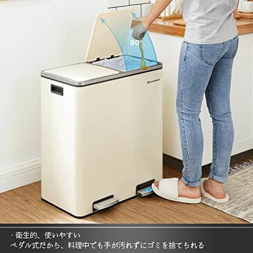 SONGMICS ゴミ箱 分別 2連 ふた付き 2x30L大容量 ペダル式 ポリ袋おまけ 防臭 横型 キッチン おしゃれ スリムLTB060A01