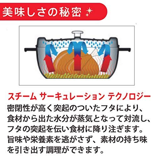 フィスラー (Fissler) ホーロー 両手鍋 カレン ココット 20cm ホワイト ガス火/IH対応 EMP-C202N001W 鋳物 琺瑯