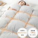 12時から5%クーポン 羽毛布団に負けない 羽毛ファイバー布団 シングル 掛け布団 シングル ダウンファイバー布団 掛け布団 冬 シングル 羽根 布団 冬用布団 安い 羽毛ファイバー 掛け布団 おすすめ あったか 羽毛ファイバー 布団 シングル 掛け布団 軽い 掛け布団 qj