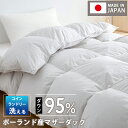 sale延長10%クーポン 羽毛布団 シングル 掛け布団 ポーランド産ダウン95% 羽毛掛け布団 シングル 布団 ダウン 羽毛布団 羽布団 羽根布団 羽毛ふとん 羽毛布団シングル 羽毛布団 冬用 羽毛 掛け布団 シングル 羽毛ぶとん 掛け布団 羽毛 布団 NENEKO qj