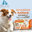 AniHerb/犬・猫たちペットの健康を強力にサポート/BLFA/愛するペット AniHerb/犬・猫たちペットの健康を強力にサポート/BLFA/愛するペット 5