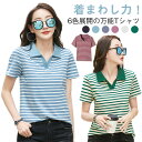 Tシャツ レディース 半袖 ボーダーT 綿 ゆったり 大きめサイズ 夏服 トップス ポロ襟 着やせ ボーダー柄 カットソー カジュアル 着回し 涼しい シンプル...
