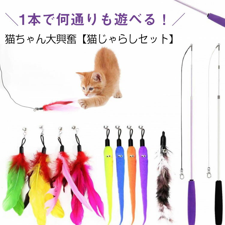 猫じゃらし ねこじゃらし 猫用おもちゃ 猫じゃらしセット 羽根 ぬいぐるみ おもちゃ 釣り竿 猫用品 ペット用品 猫おもちゃ ストレス解消 運動不足 送料無料