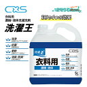 C×S シーバイエス 洗濯王 5L (1本) 衣料用洗濯洗剤 1剤で洗濯 柔軟 消臭 抗菌 超高濃度 T35086 JI 大特価セール